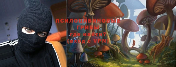 эйфоретик Алексеевка