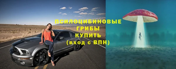 эйфоретик Алексеевка
