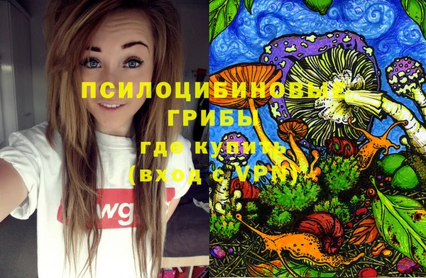 наркотики Алексин